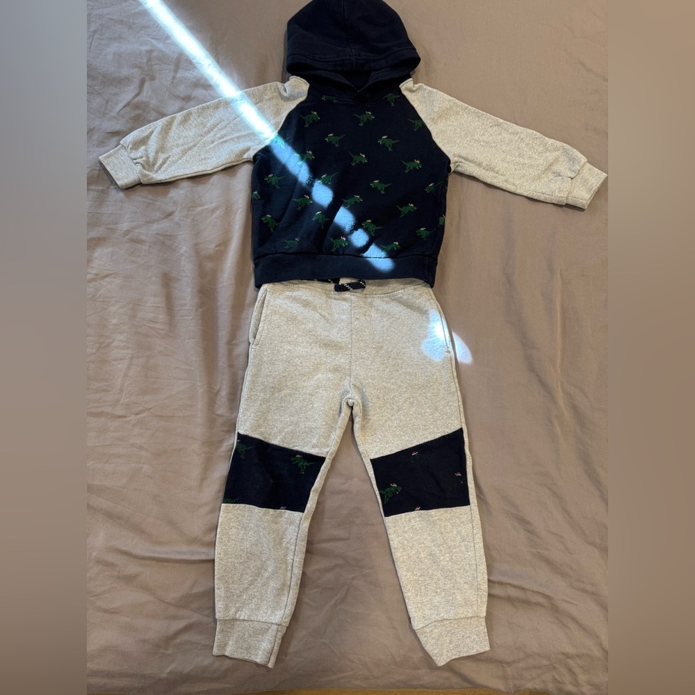 Free Planet Gray and Navy Dinosaur Joggers